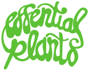 Essential Plants