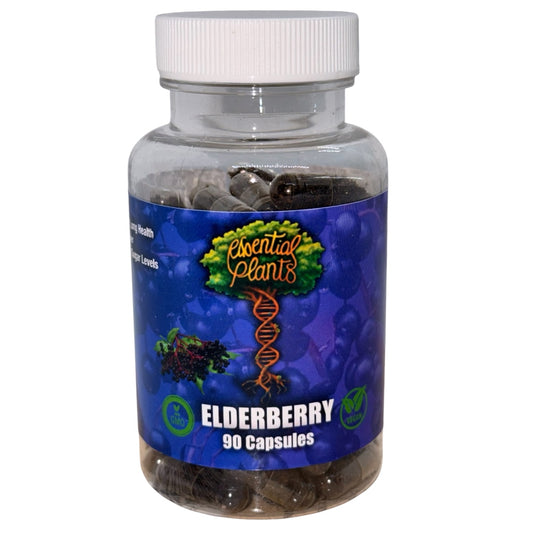 Elderberry