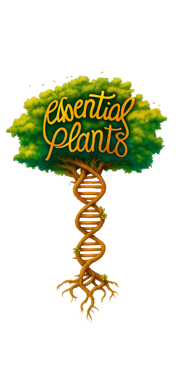 Essential Plants